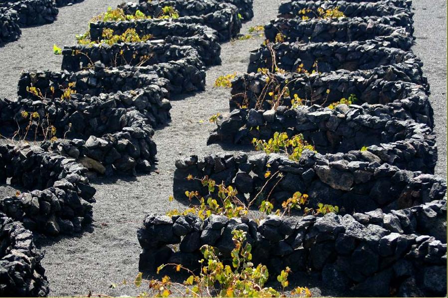 Foto de Lanzarote (Las Palmas), España