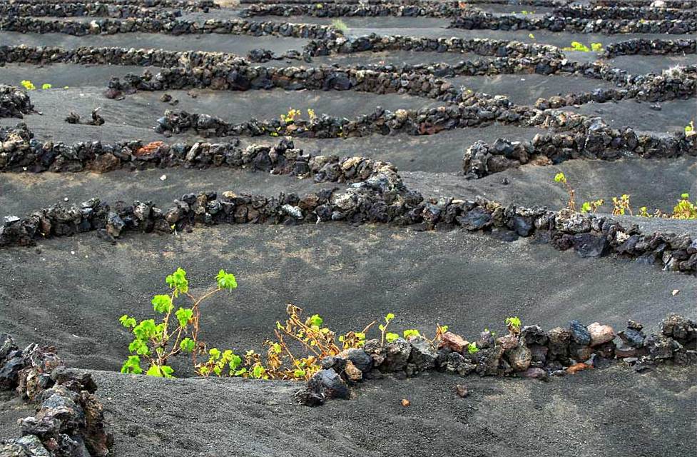 Foto de Lanzarote (Las Palmas), España