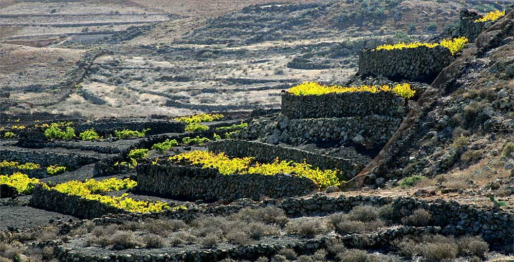 Foto de Lanzarote (Las Palmas), España