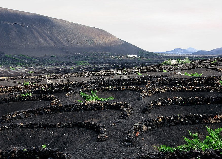 Foto de Lanzarote (Las Palmas), España