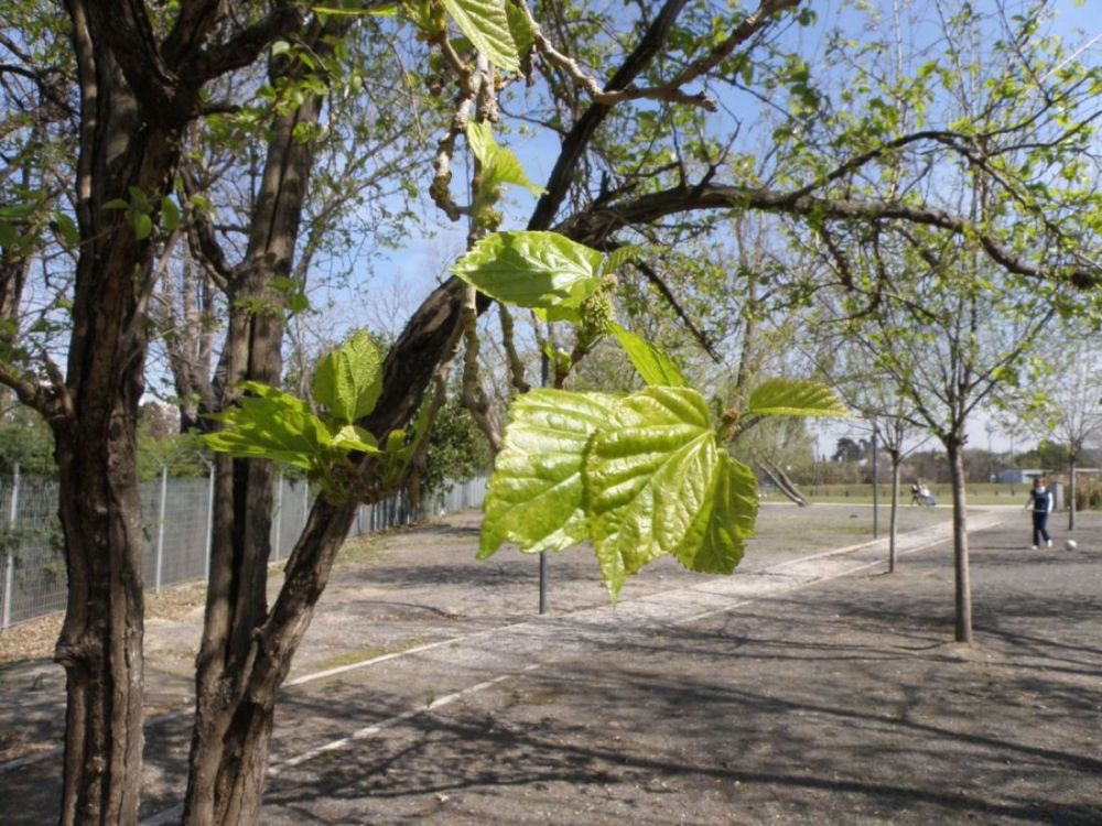 Foto de Olivos (Buenos Aires), Argentina