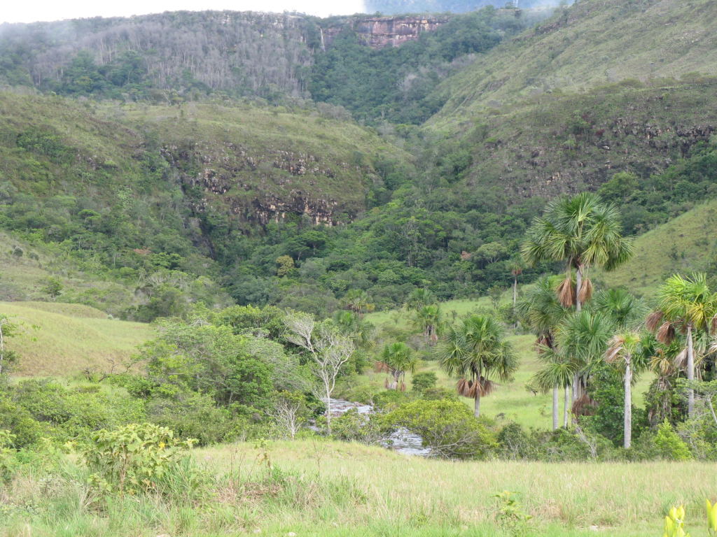 Foto de Kavac, Venezuela