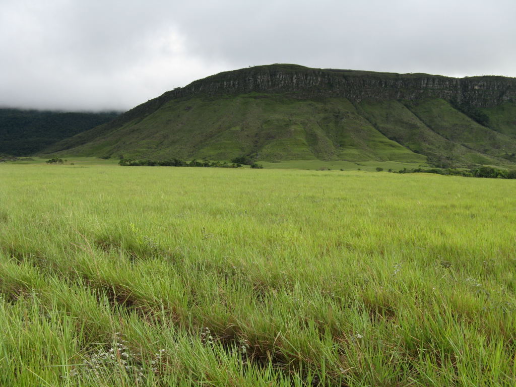 Foto de Uruyen, Venezuela