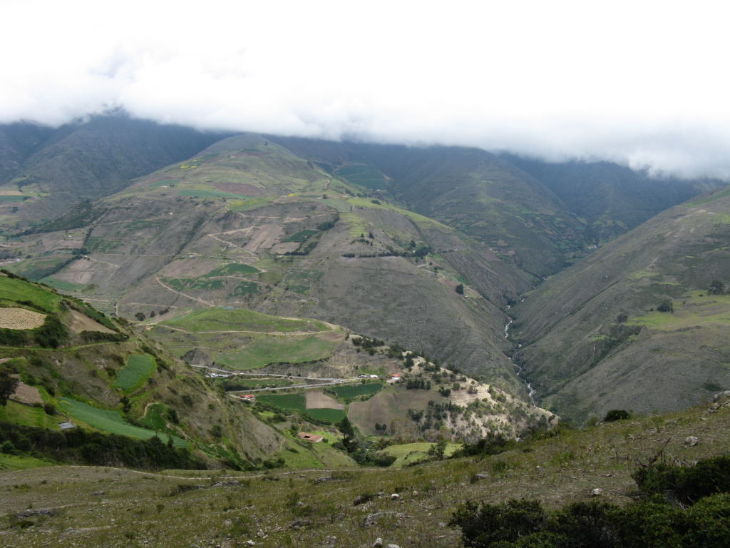 Foto de La Musuy, Venezuela