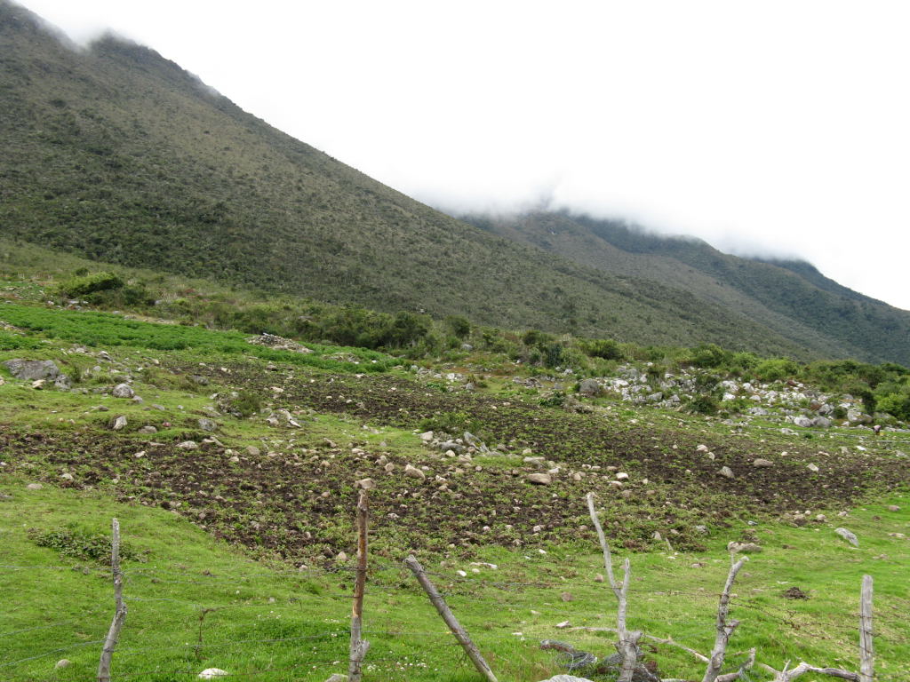 Foto de Mérida, Venezuela