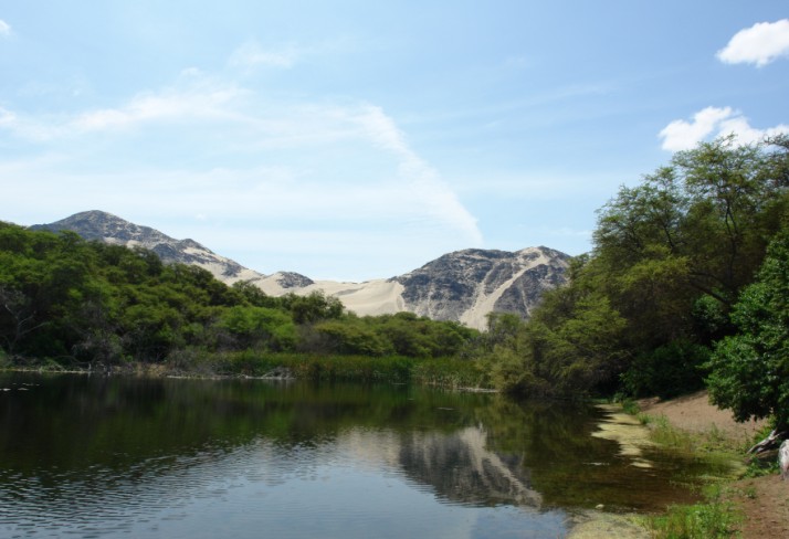 Foto de San Pedro de Lloc (Pacasmayo), Perú