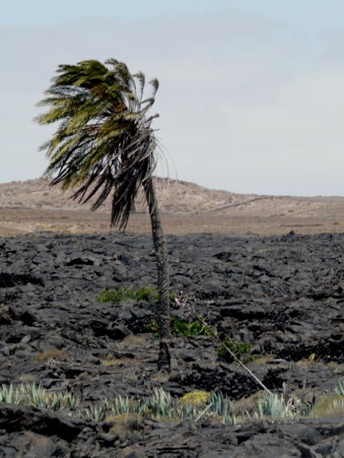 Foto de Lanzarote (Las Palmas), España