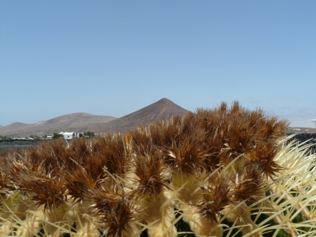 Foto de Lanzarote (Las Palmas), España