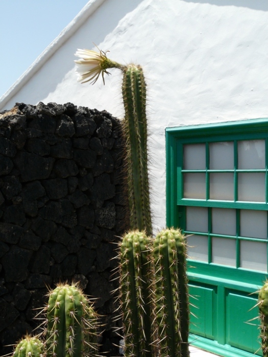 Foto de Lanzarote (Las Palmas), España