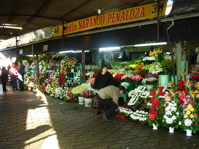 Foto de Santiago, Chile