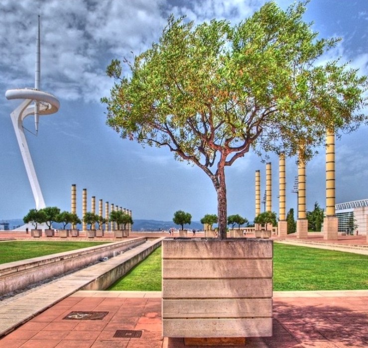 Foto de Barcelona (Cataluña), España