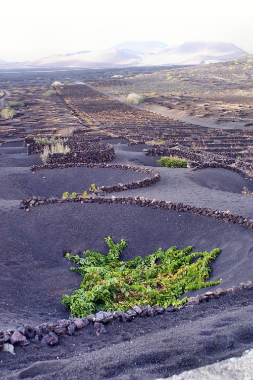 Foto de Lanzarote (Las Palmas), España