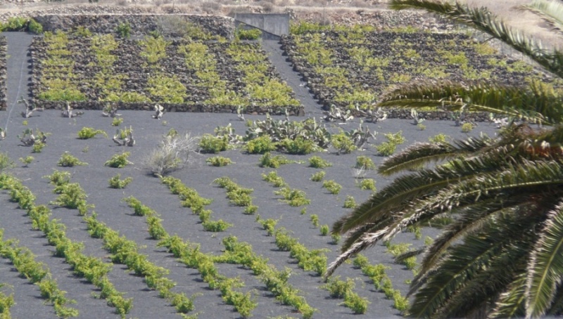 Foto de Lanzarote (Las Palmas), España