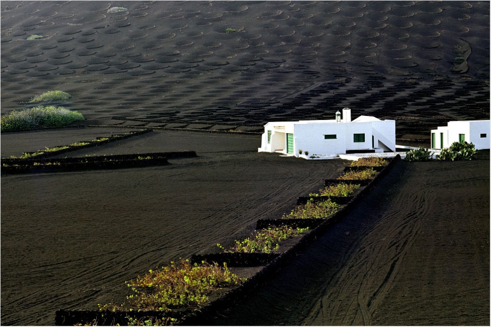 Foto de Lanzarote (Las Palmas), España