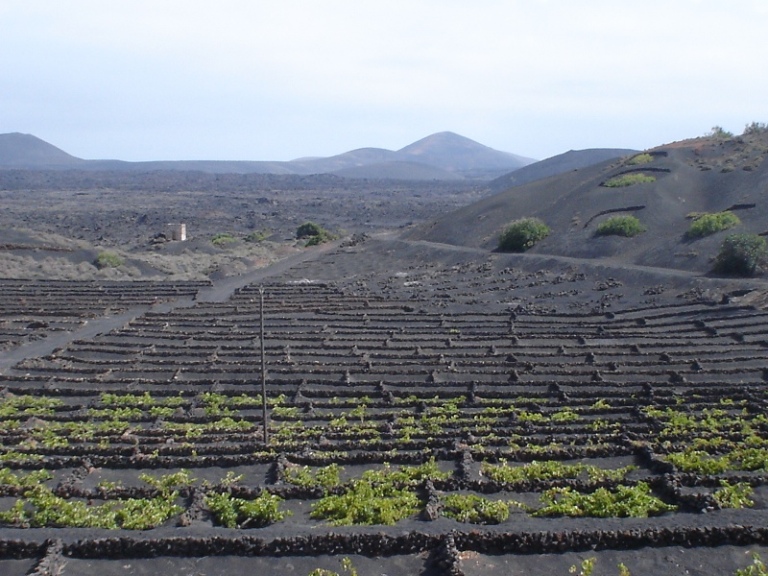 Foto de Lanzarote (Las Palmas), España