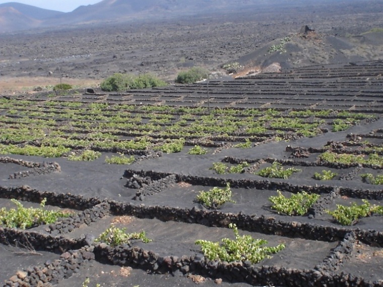 Foto de Lanzarote (Las Palmas), España