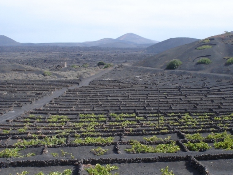 Foto de Lanzarote (Las Palmas), España