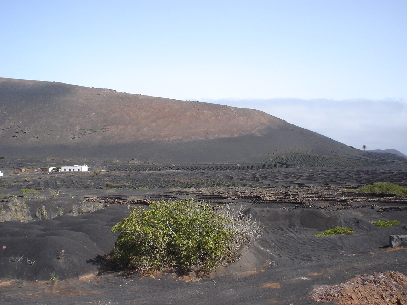 Foto de Lanzarote (Las Palmas), España