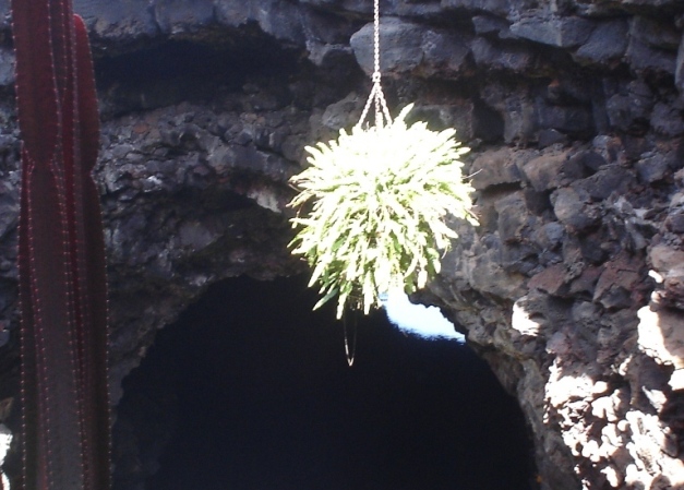 Foto de Lanzarote (Las Palmas), España