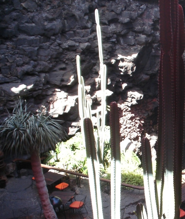 Foto de Lanzarote (Las Palmas), España