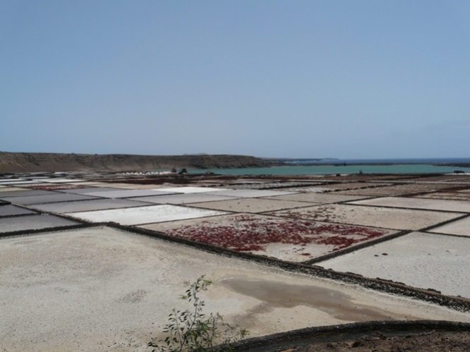 Foto de Lanzarote (Las Palmas), España