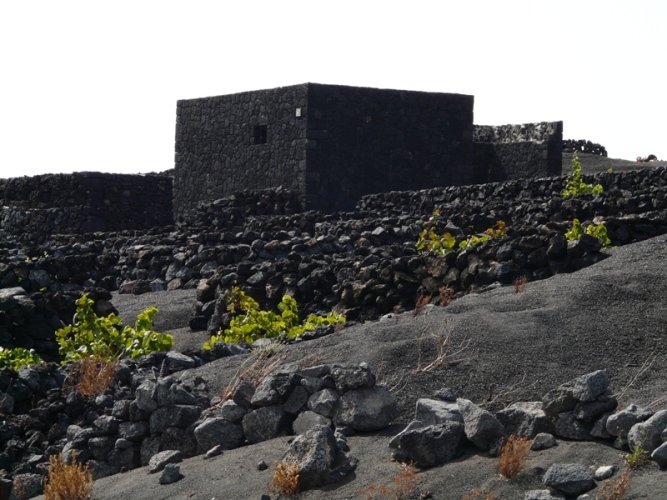 Foto de Lanzarote (Las Palmas), España