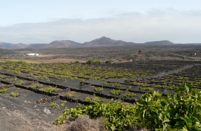 Foto de Lanzarote (Las Palmas), España