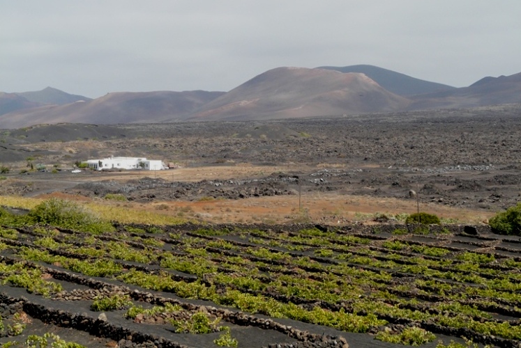 Foto de Lanzarote (Las Palmas), España