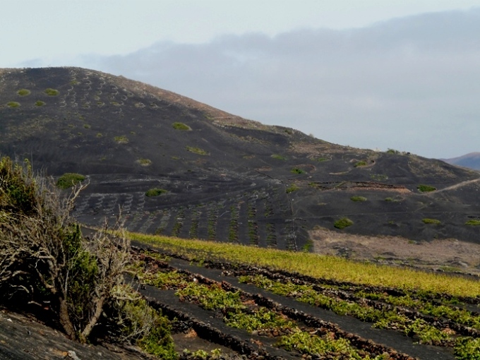 Foto de Lanzarote (Las Palmas), España