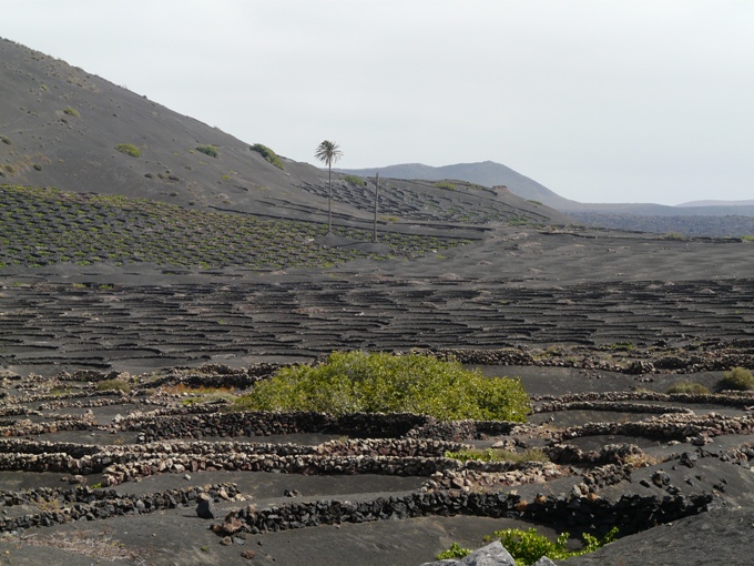 Foto de Lanzarote (Las Palmas), España