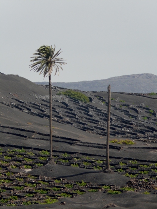 Foto de Lanzarote (Las Palmas), España