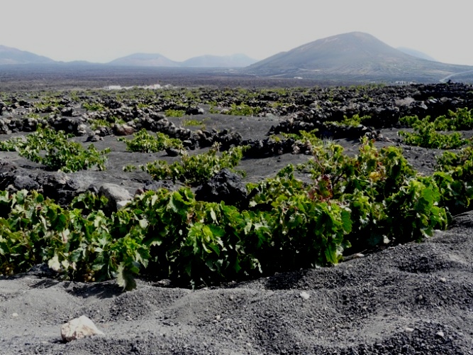 Foto de Lanzarote (Las Palmas), España