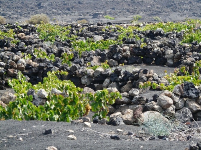 Foto de Lanzarote (Las Palmas), España