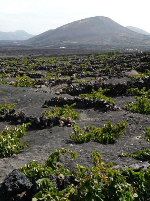 Foto de Lanzarote (Las Palmas), España