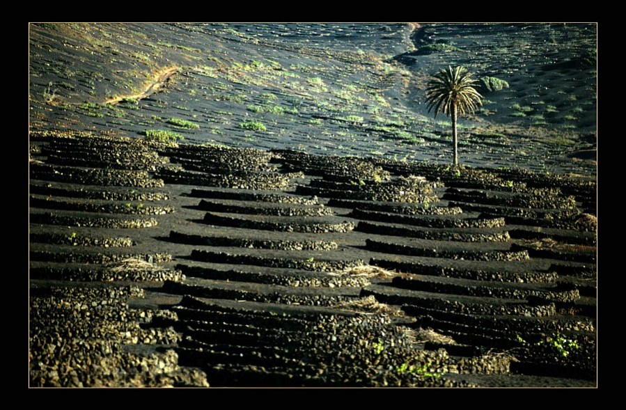 Foto de Lanzarote (Las Palmas), España