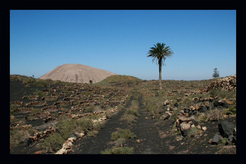 Foto de Lanzarote (Las Palmas), España