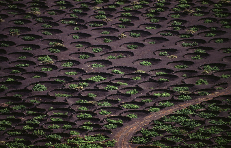 Foto de Lanzarote (Las Palmas), España