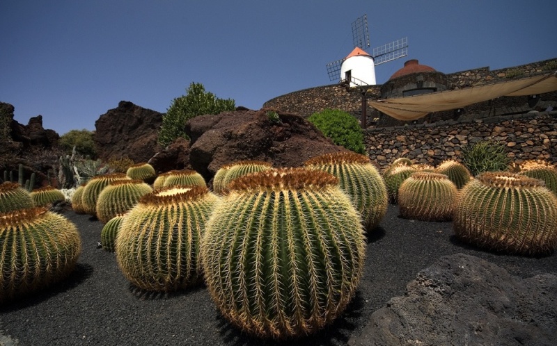 Foto de Lanzarote (Las Palmas), España