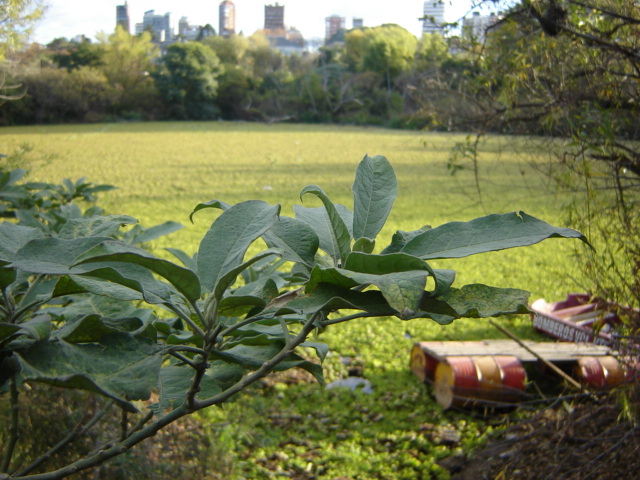 Foto de Vicente López (Buenos Aires), Argentina