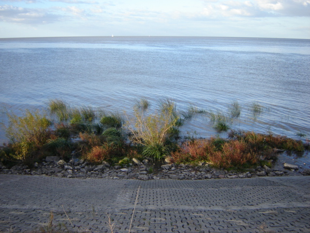 Foto de Vicente López (Buenos Aires), Argentina