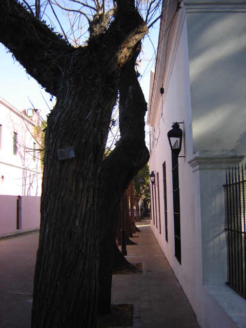 Foto de San Isidro (Buenos Aires), Argentina