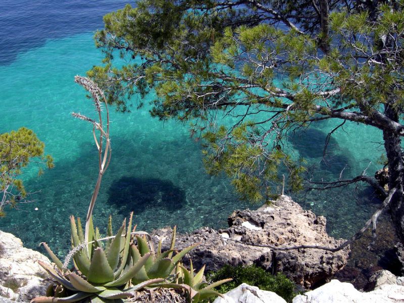 Foto de Mallorca (Illes Balears), España