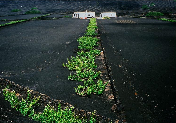 Foto de Lanzarote (Las Palmas), España