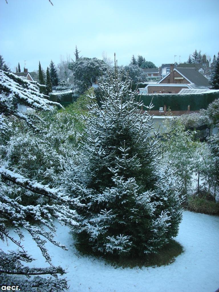 Foto de Pozuelo de Alarcón (Madrid), España