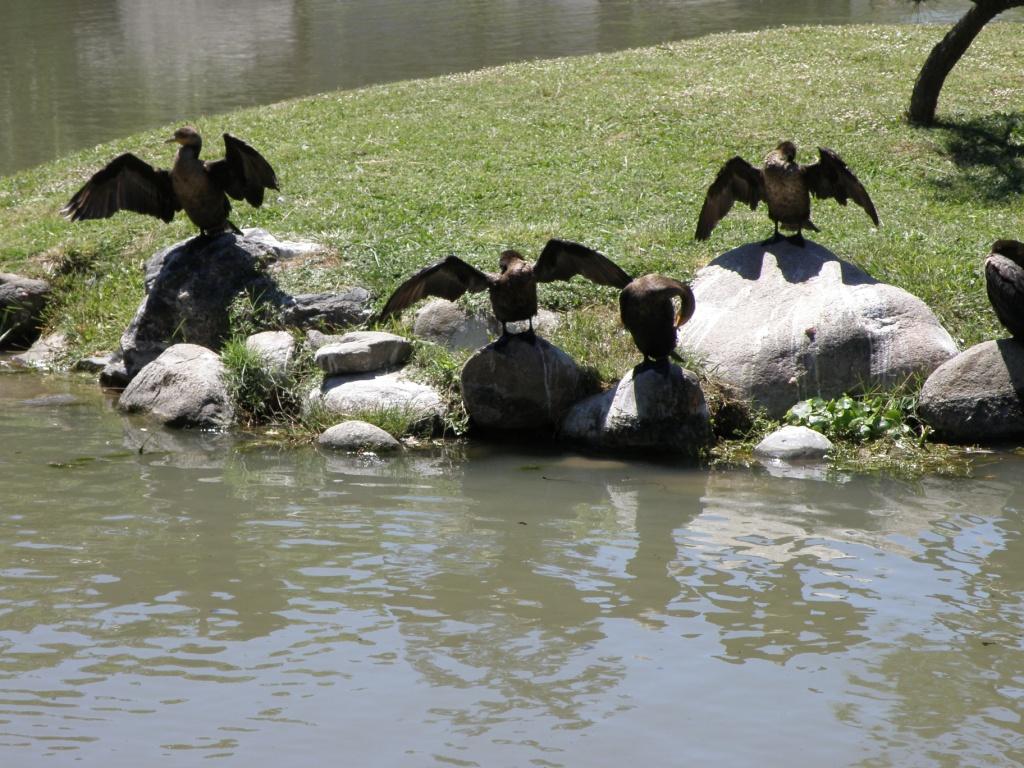 Foto de Buenos Aires, Argentina