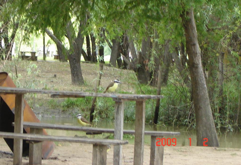 Foto de Río Paraná Guazú, Argentina