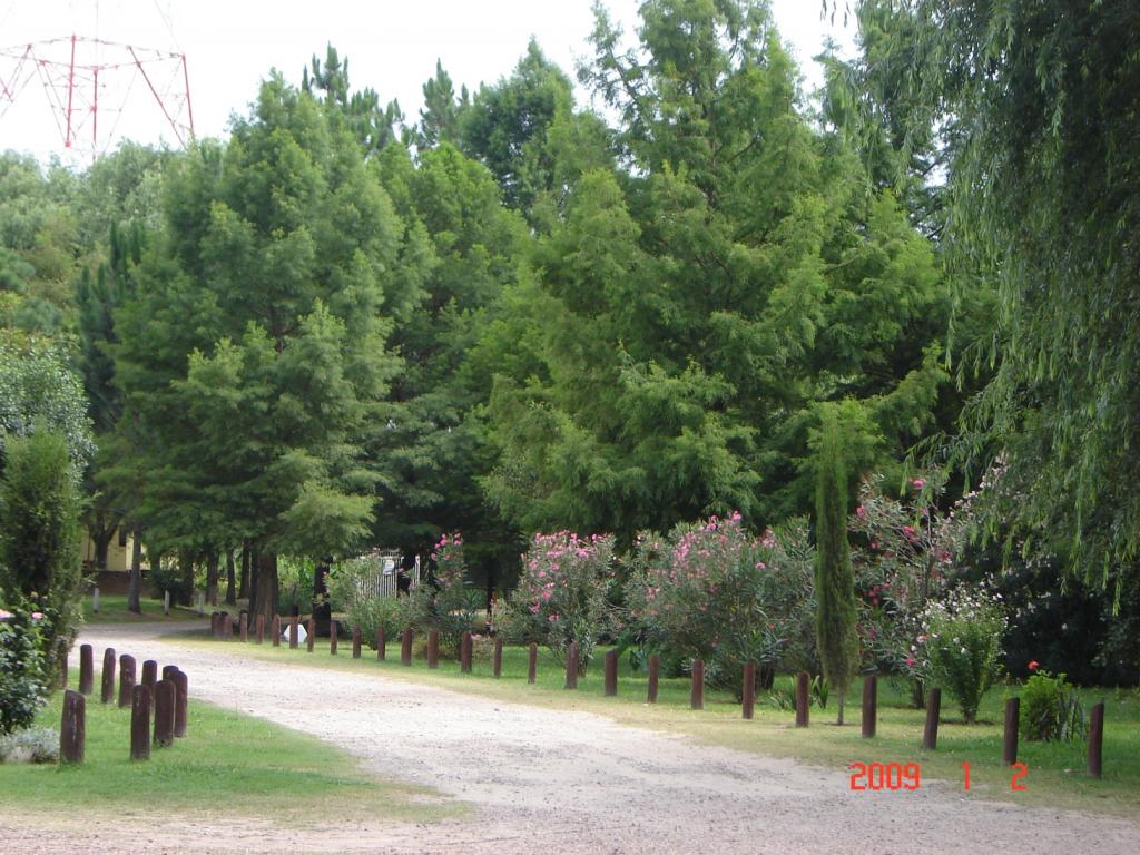 Foto de Río Paraná Guazú, Argentina