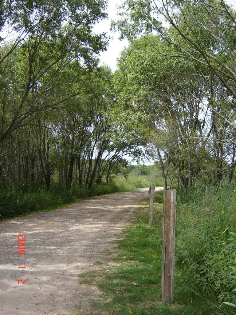 Foto de Río Paraná Guazú, Argentina