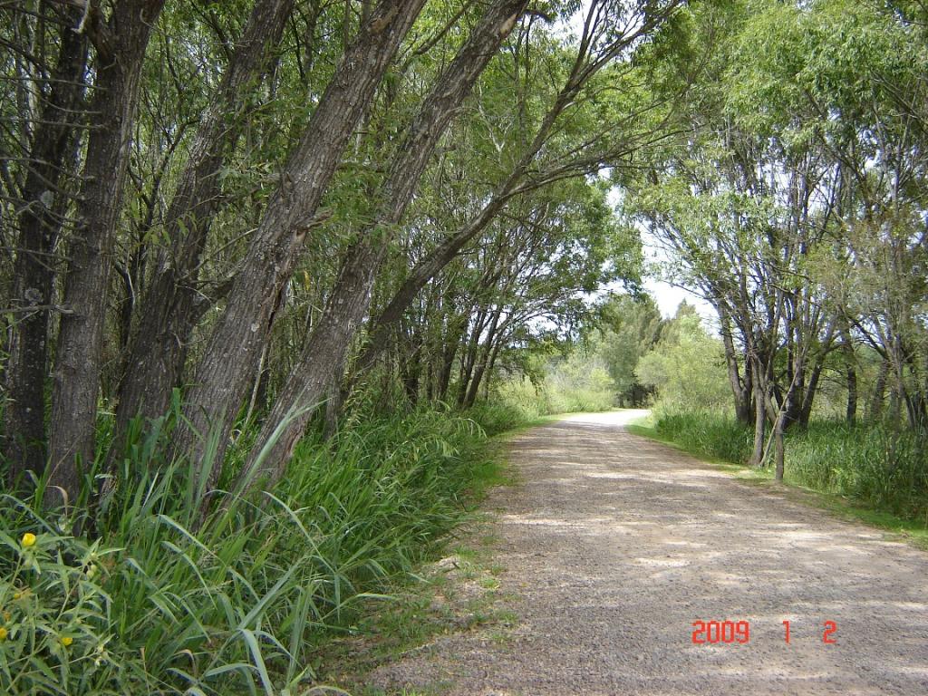 Foto de Río Paraná Guazú, Argentina