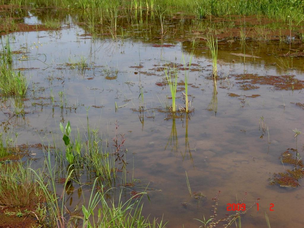 Foto de Río Paraná Guazú, Argentina